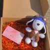 Adorable Crochet Dog With Accompanying Box And Card