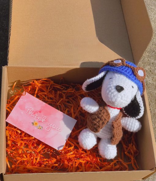 Adorable Crochet Dog With Accompanying Box And Card