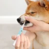 Pet'S Teeth Health By Repairing And Preventing Disease1