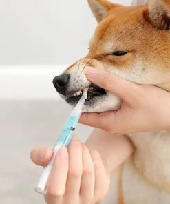 Pet'S Teeth Health By Repairing And Preventing Disease1