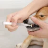 Pet'S Teeth Health By Repairing And Preventing Disease2