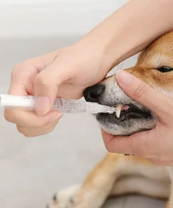 Pet'S Teeth Health By Repairing And Preventing Disease2