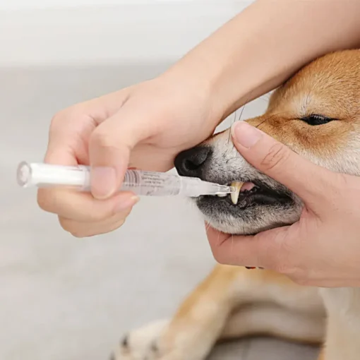 Pet'S Teeth Health By Repairing And Preventing Disease2