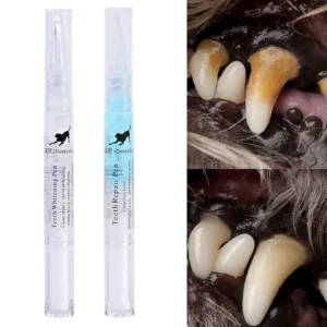 Pet'S Teeth Health By Repairing And Preventing Disease5