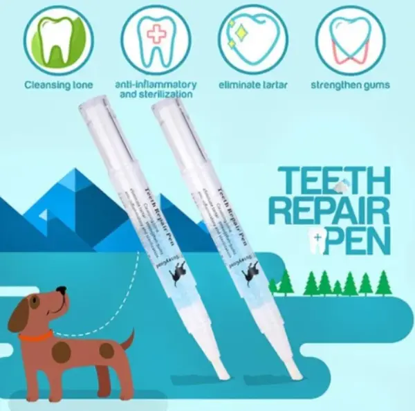 Pet S Teeth Health By Repairing And Preventing Disease