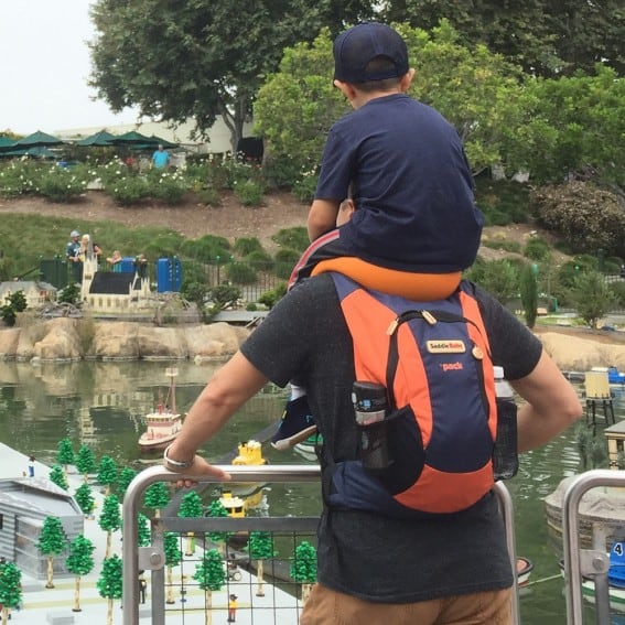Ergonomic Baby Carrier with Shoulder Support photo review
