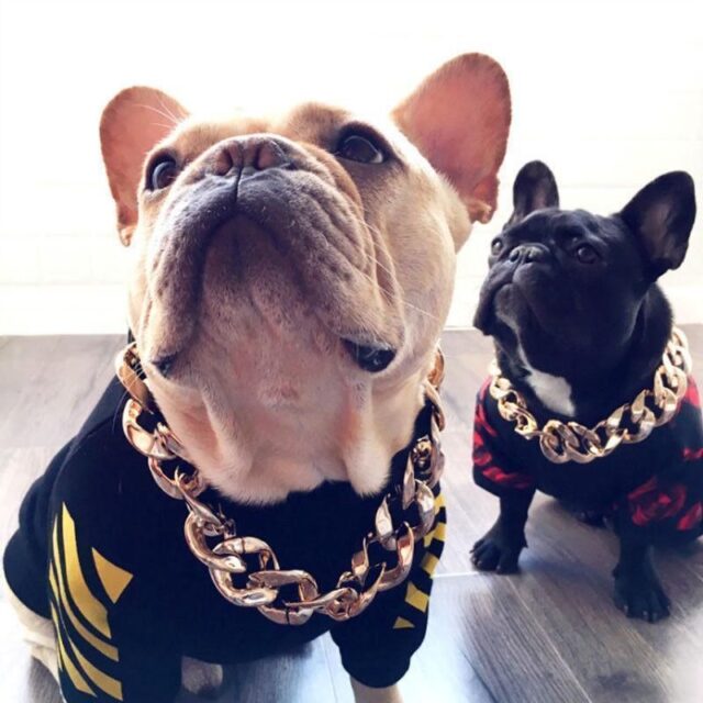 Hip Hop Dog Collar Chain for Small Pets (15 Inches)