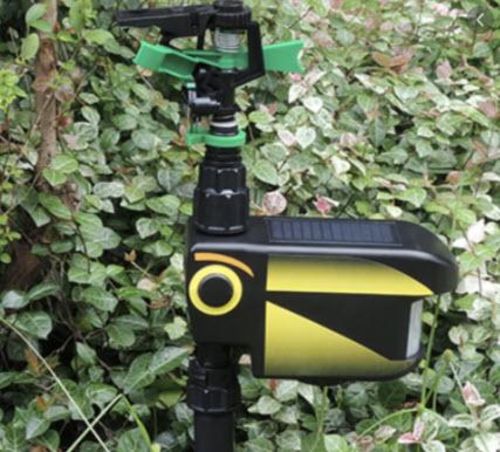 Solar Motion-Activated Sprinkler Animal Repellent & Irrigation System photo review