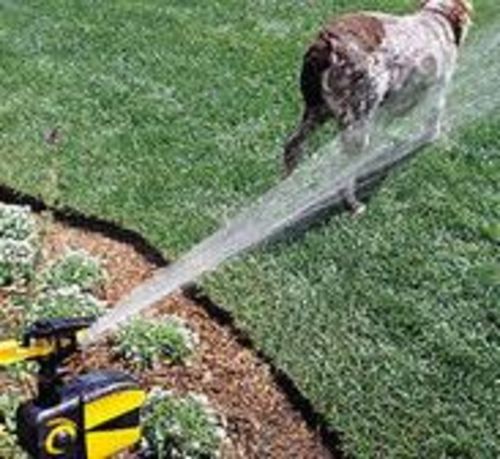 Solar Motion-Activated Sprinkler Animal Repellent & Irrigation System photo review