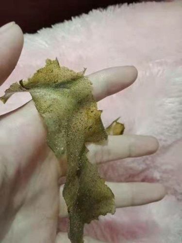 Deep Cleansing Green Tea Blackhead Peel-Off Mask 40ml photo review