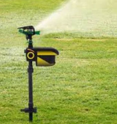 Solar Motion-Activated Sprinkler Animal Repellent & Irrigation System photo review