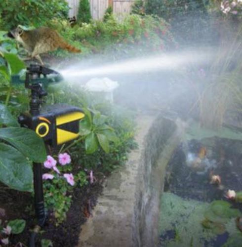 Solar Motion-Activated Sprinkler Animal Repellent & Irrigation System photo review