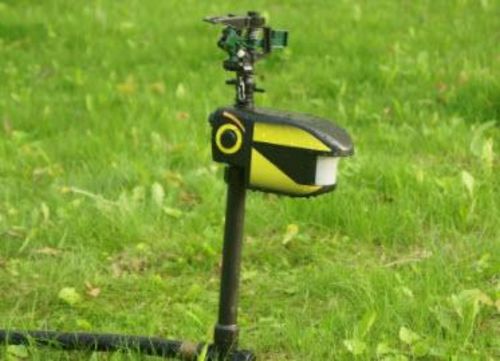 Solar Motion-Activated Sprinkler Animal Repellent & Irrigation System photo review