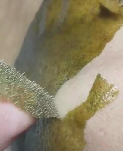 Deep Cleansing Green Tea Blackhead Peel-Off Mask 40ml photo review