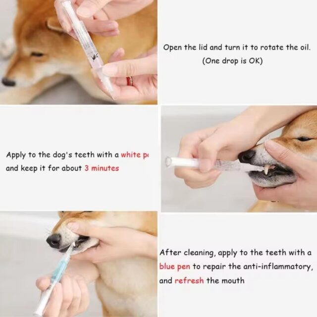 Dog Teeth Plaque Removing Pens (Set 2 Pens) - Image 5