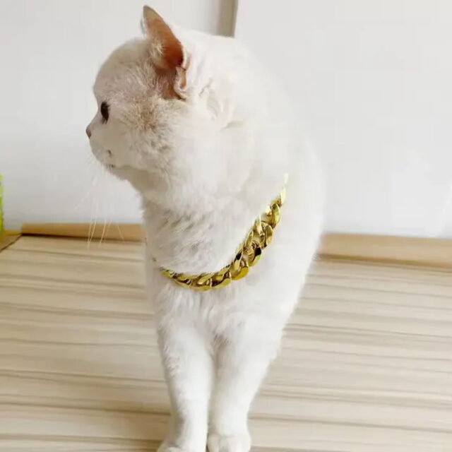 Hip Hop Dog Collar Chain for Small Pets (15 Inches) - Image 8