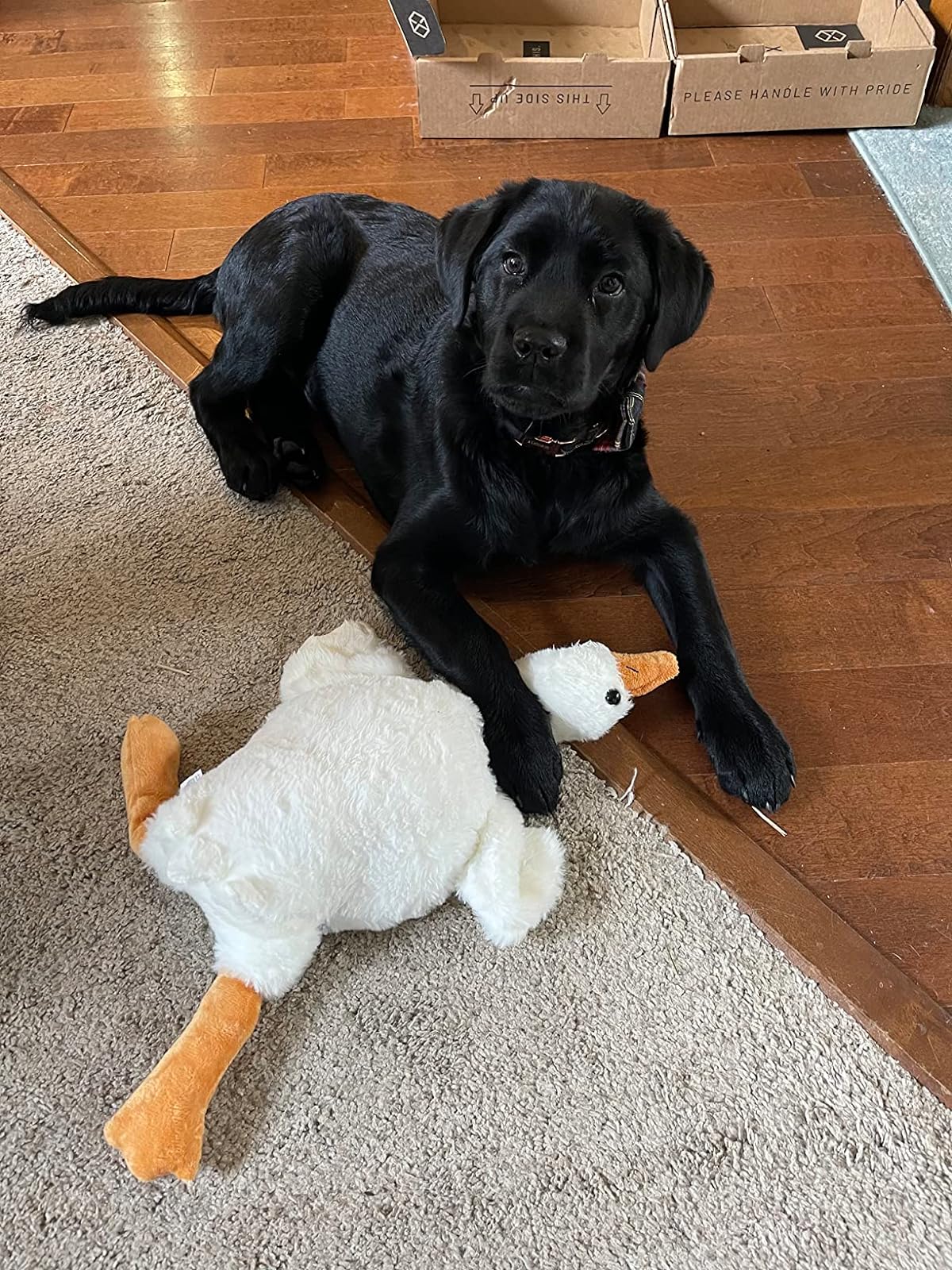 Big White Goose Plush Toy Soft Stuffed Animal 20-65 inches photo review