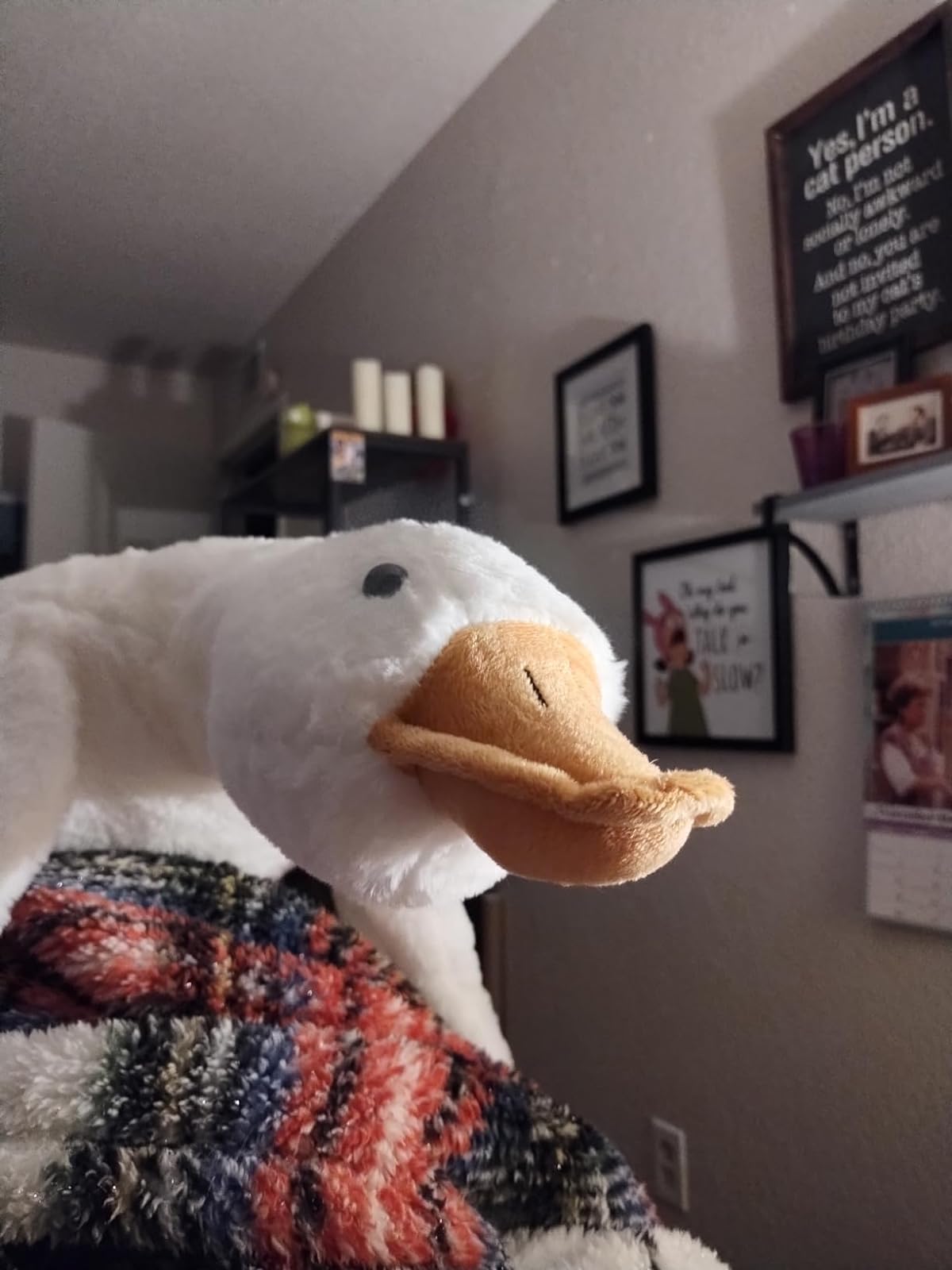 Big White Goose Plush Toy Soft Stuffed Animal 20-65 inches photo review