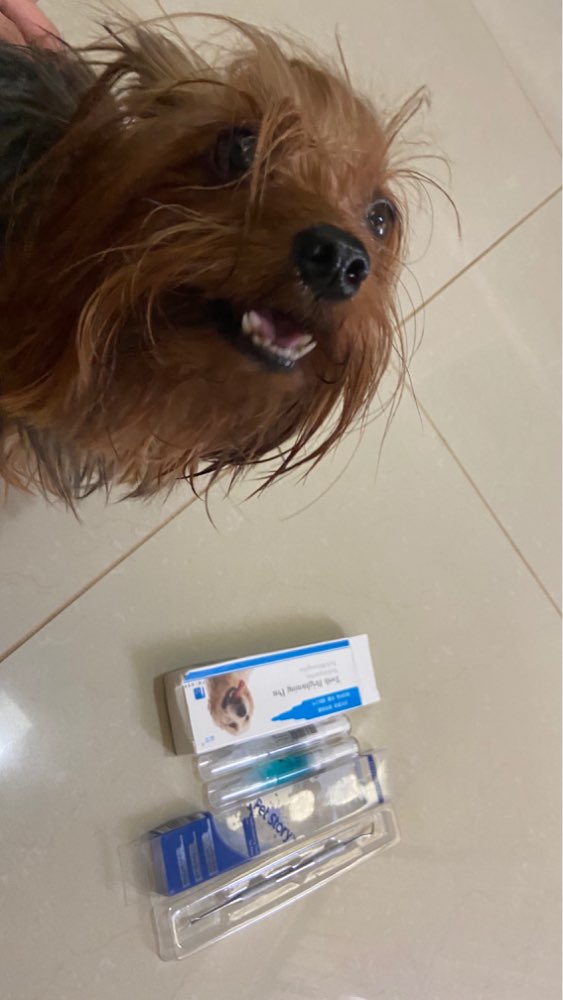 Dog Teeth Plaque Removing Pens (Set 2 Pens) photo review
