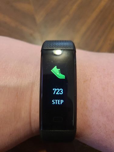 Smart Bracelet with Heart Rate and NFC Function photo review