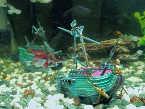 Large Split Shipwreck Boat Aquarium Decoration photo review