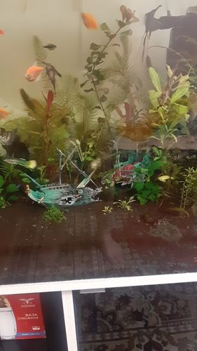 Large Split Shipwreck Boat Aquarium Decoration photo review