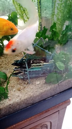 Large Split Shipwreck Boat Aquarium Decoration photo review