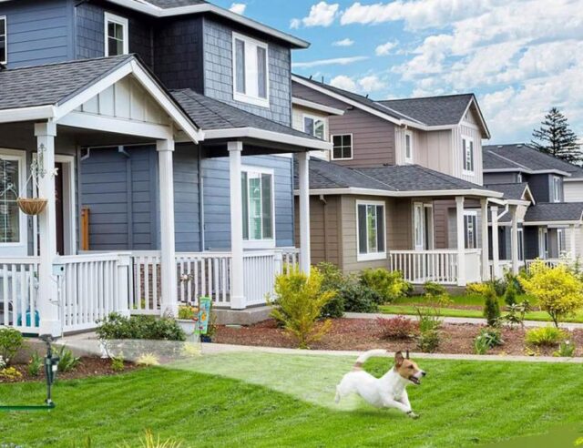 Solar Motion-Activated Sprinkler Animal Repellent & Irrigation System - Image 7