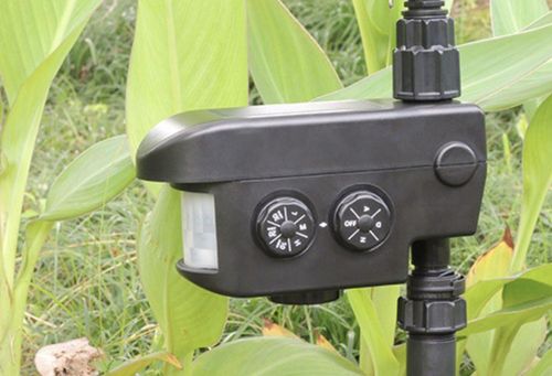 Solar Motion-Activated Sprinkler Animal Repellent & Irrigation System photo review