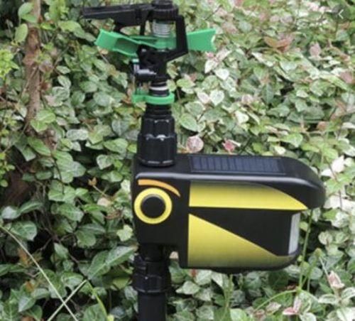 Solar Motion-Activated Sprinkler Animal Repellent & Irrigation System photo review