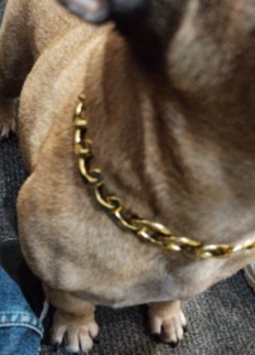 Hip Hop Dog Collar Chain for Small Pets (15 Inches) photo review