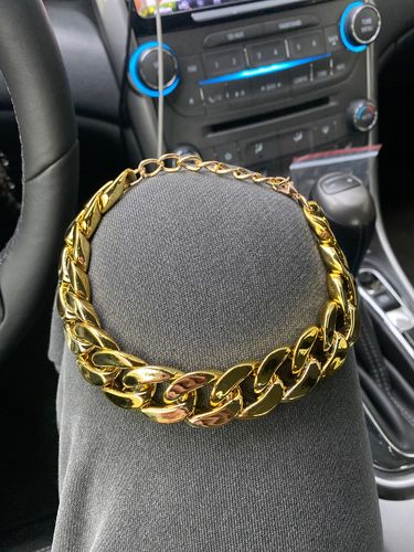 Hip Hop Dog Collar Chain for Small Pets (15 Inches) photo review