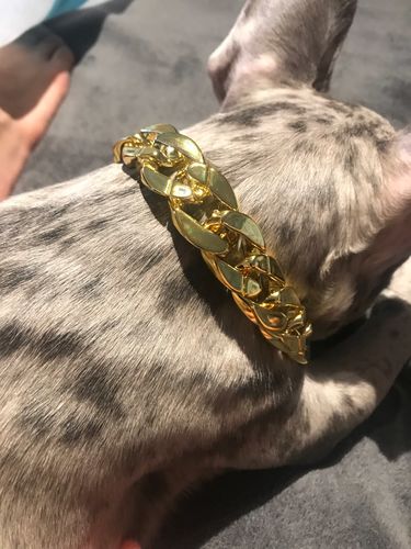 Hip Hop Dog Collar Chain for Small Pets (15 Inches) photo review