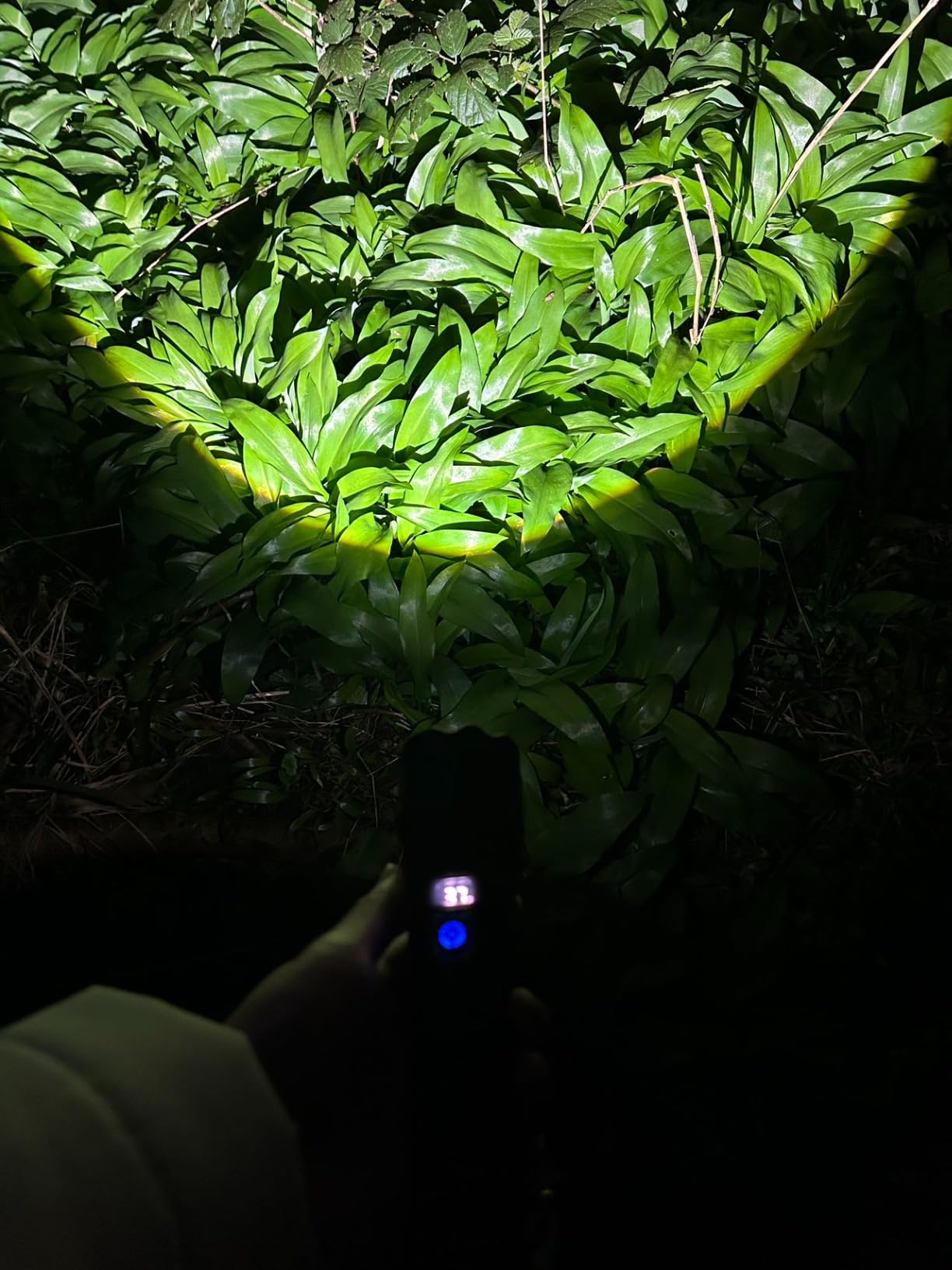 Ultra-Bright Rechargeable LED Flashlight with Zoom & 5 Modes photo review